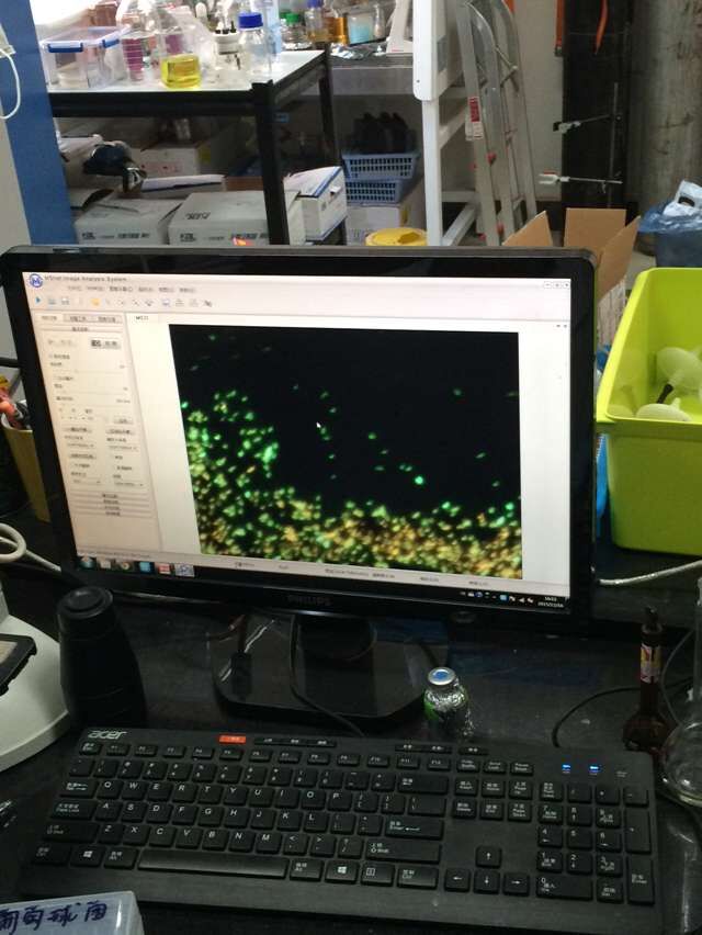 我司助浙江大學(xué)改造熒光顯微鏡